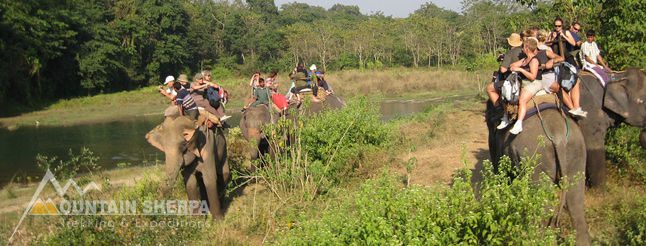 Chitwan Safari Tour