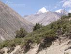 Annapurna Trekking