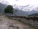 Annapurna Trekking