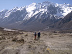 Langtang Trekking