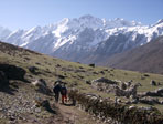 Langtang Trekking
