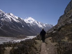 Langtang Trekking