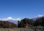 View from near Ghorepani