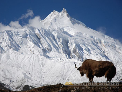 Manaslu Trekking