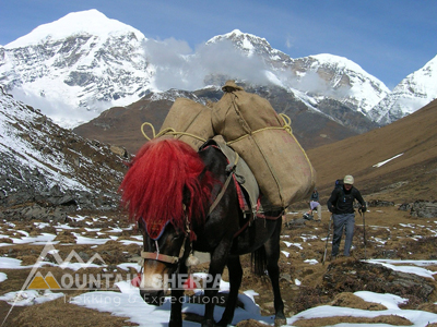 Samtengang Winter Trekking