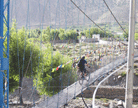 Western Nepal Mountain Bike Tour