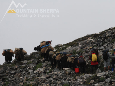 Wild East Rodungla Trekking